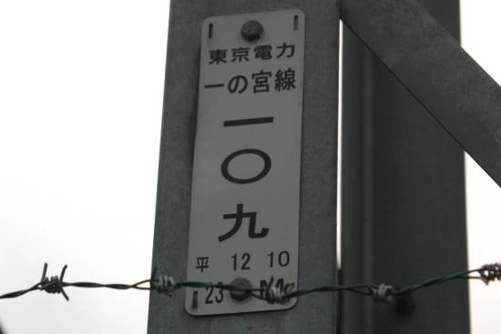 040810_046s.jpg