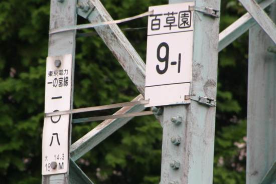 040810_066s.jpg